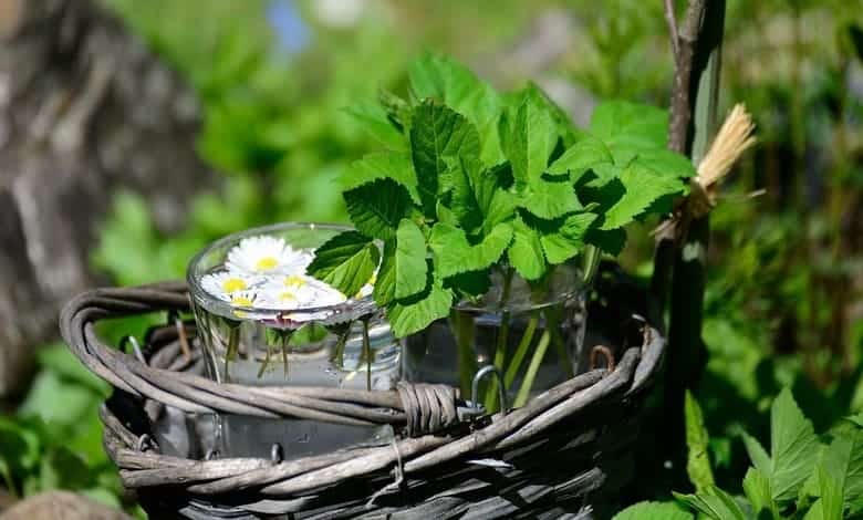 България празнува Еньовден