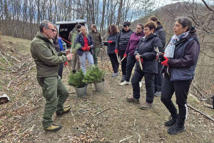 Залесяване с фиданки от бял бор край с. Дивчовото, Община Тетевен, Седмица на гората 2026
